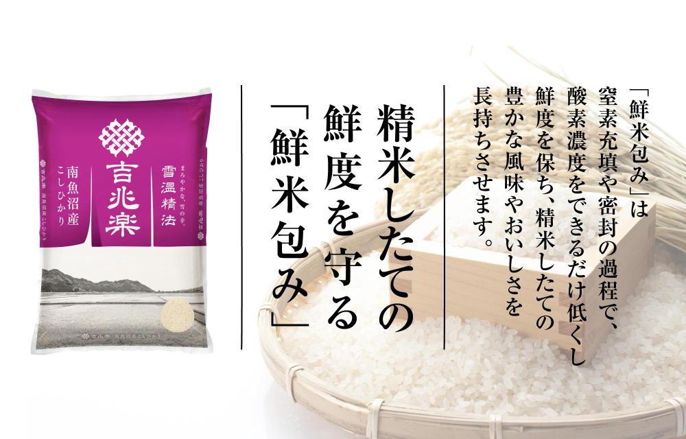 【2025年10月中旬以降発送　先行受付】南魚沼産こしひかり（5kg×全6回）契約栽培 雪蔵貯蔵米