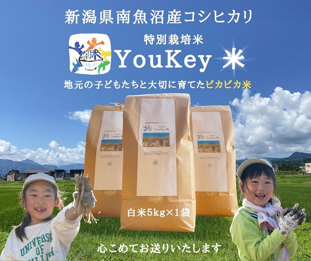 新潟県南魚沼産　特別栽培米 「YouKey 米」 5kg（精米）