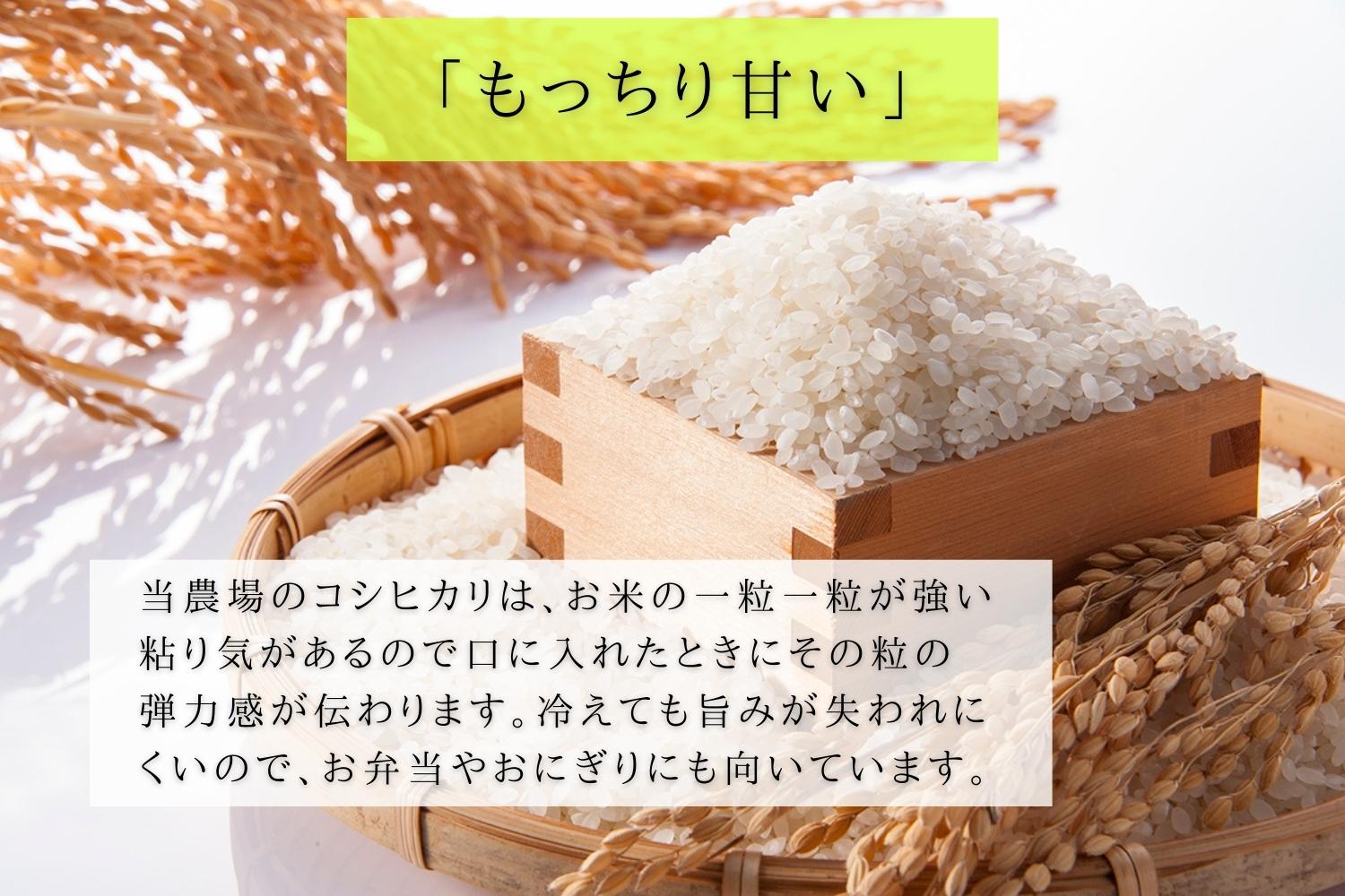 【R7年産】最高金賞 南魚沼産コシヒカリ 白米10kg もっちり甘い！ ひらくの里ファーム