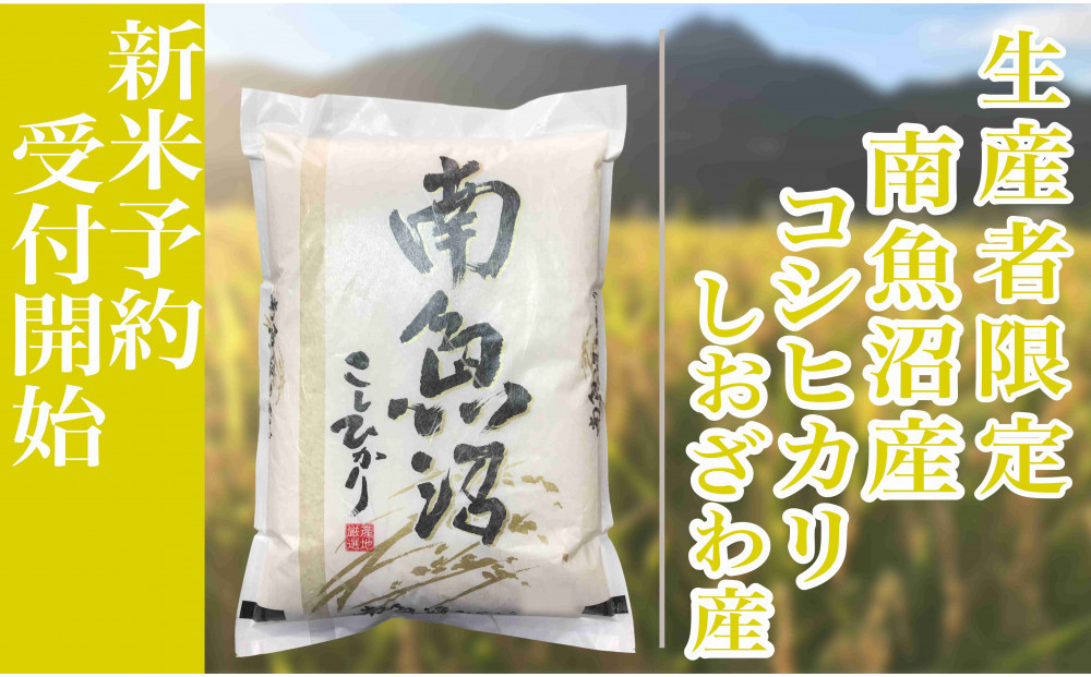 【新米予約・令和7年産】定期便３ヶ月：精米10kg生産者限定 南魚沼しおざわ産コシヒカリ【2025年10月上旬より順次発送予定】