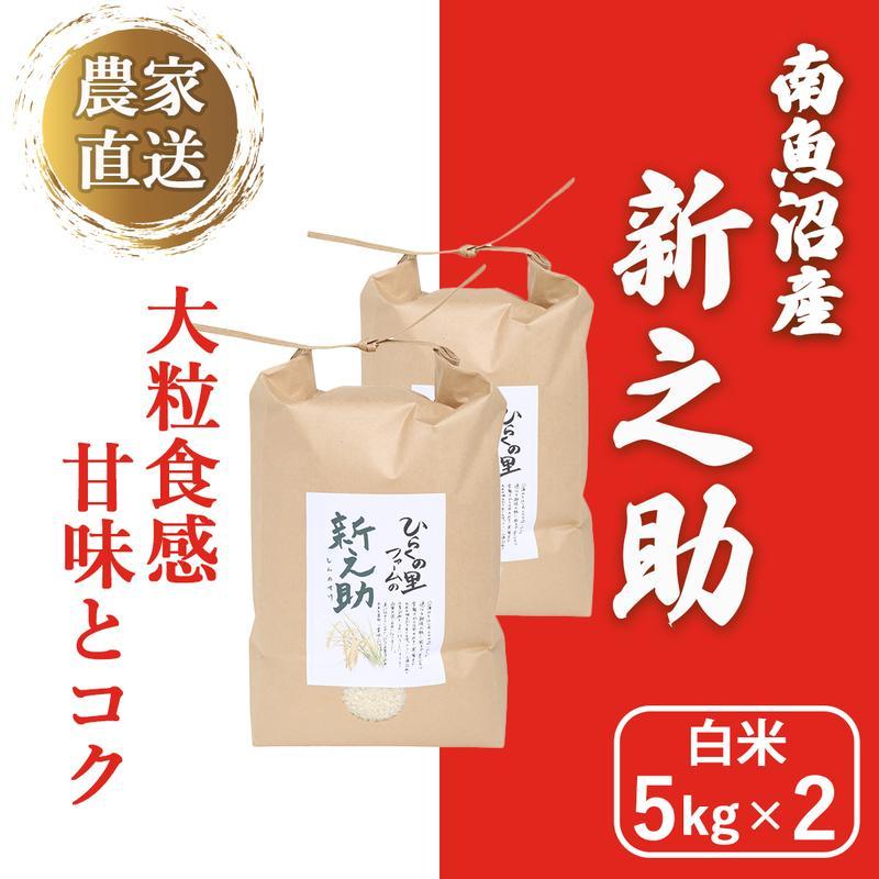 【令和6年産新米予約】南魚沼産新之助 白米5kg×2 きらめく大粒！ ひらくの里ファーム