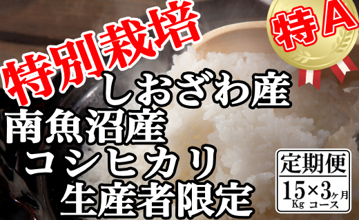 【令和7年産】【定期便：15Kg×3ヶ月】特別栽培 生産者限定  南魚沼しおざわ産コシヒカリ