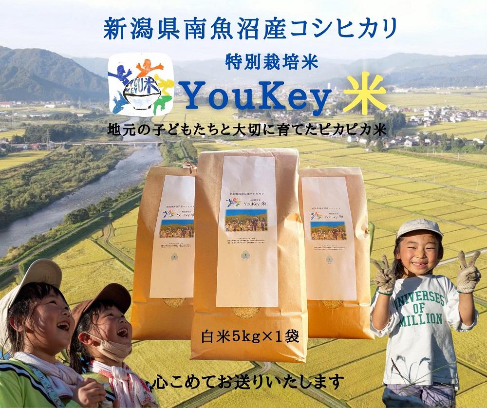 新潟県南魚沼産　特別栽培米 「YouKey 米」 5kg（精米）