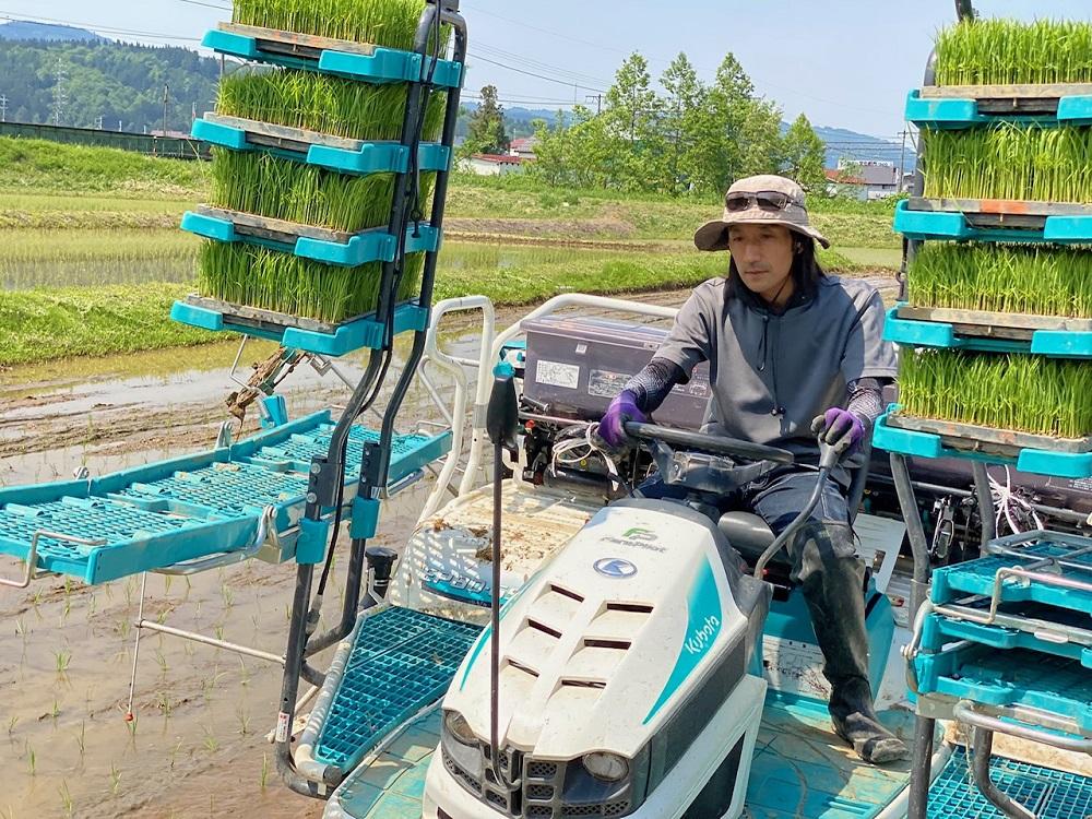 【R5年産】　南魚沼塩沢産コシヒカリ　特別栽培米　白米５kg