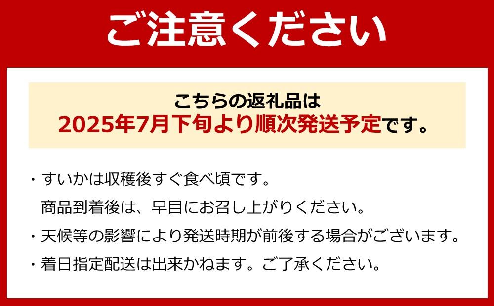 【新潟県南魚沼産】【わけあり】八色原スイカ 大玉１玉