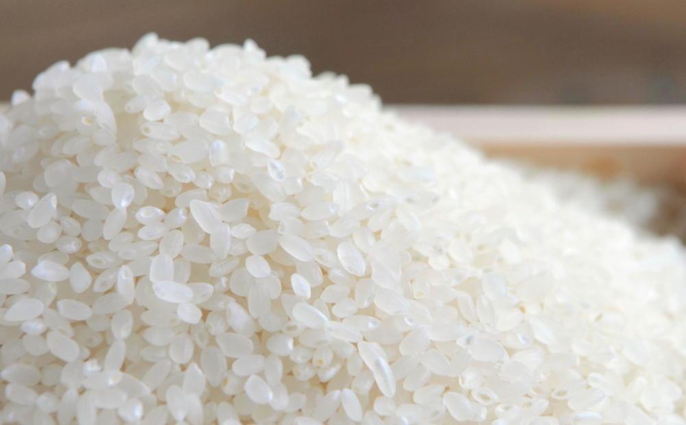 縲仙ョ壽悄萓ソ莉、蜥7蟷エ逕」縲鷹未譎コ譎エ縺後▽縺上k蜊鈴ュ壽イシ蝪ゥ豐「逕」繧ウ繧キ繝偵き繝ェ シ斌gテ怜ィシ吝屓 貂幄セイ阮ャ譬ス蝓ケ邀ウ縲2025蟷エ9譛井クュ譌ャ繧医j鬆谺。逋コ騾∽コ亥ョ壹