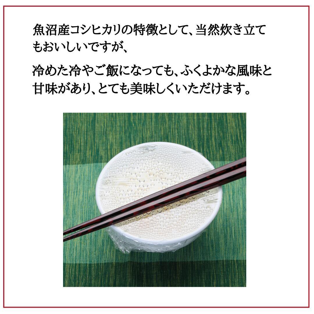 令和6年度産　南魚沼塩沢産コシヒカリ　白米　6kg