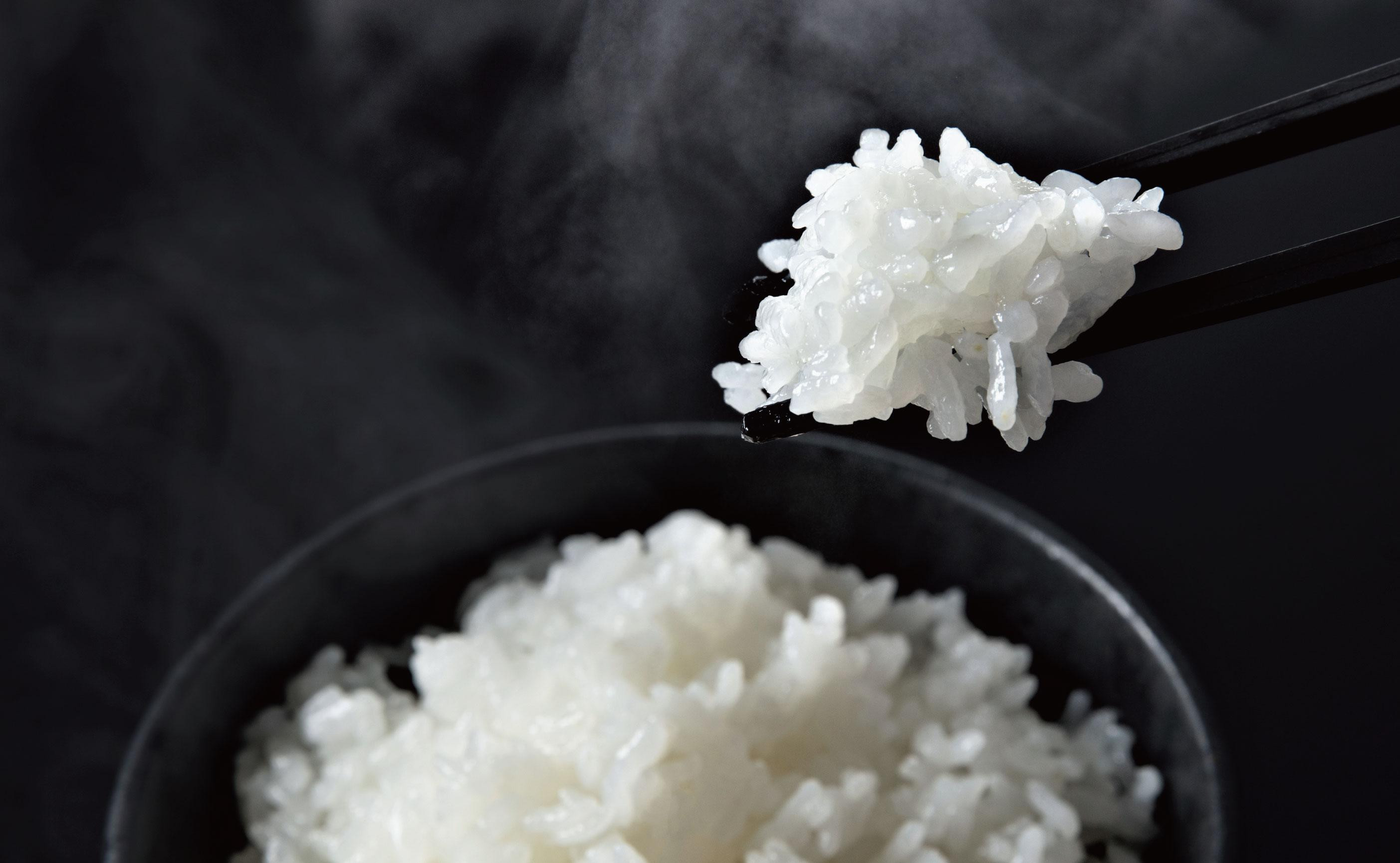 【令和7年産】関智晴がつくる南魚沼塩沢産コシヒカリ5kg　減農薬栽培米