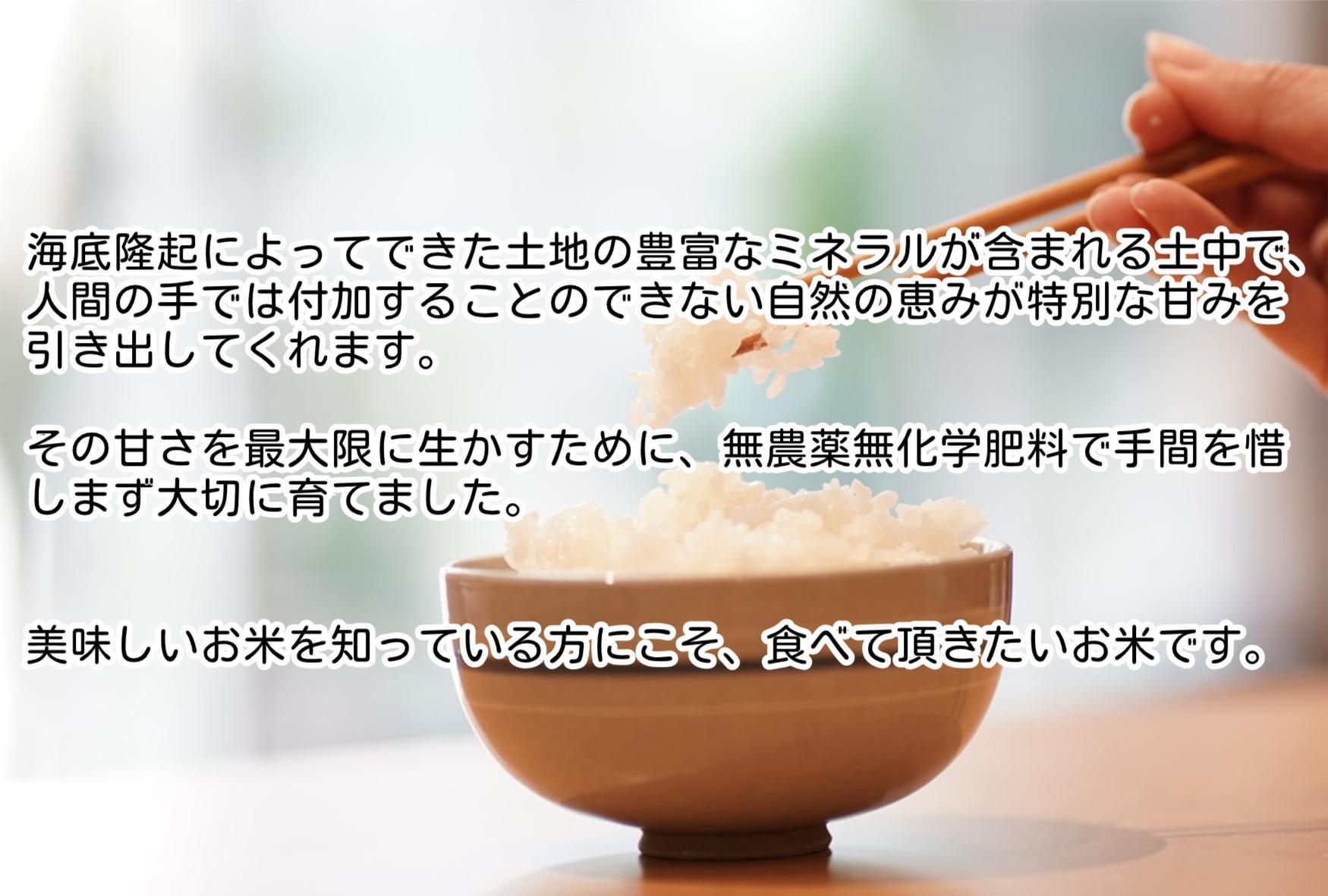 【新米】令和６年産　南魚沼塩沢産JAS有機栽培米「さとみ」玄米・白米キューブセット