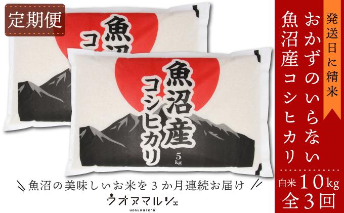 【令和7年産】【お米定期便/全３回】 おかずのいらない 魚沼産コシヒカリ　白米１０ｋｇ