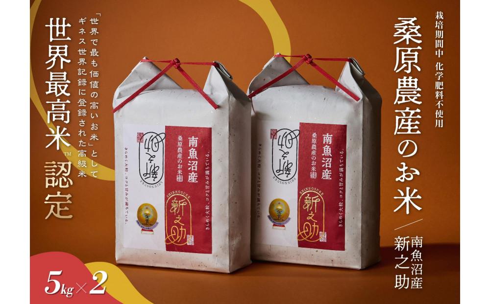【R7年産】ギネス世界記録「世界最高米」認定 最高級南魚沼産新之助10kg(5kg×2) 桑原農産のお米