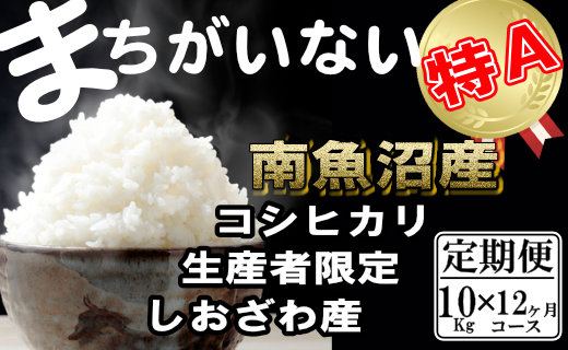 【令和7年産】【定期便】生産者限定 契約栽培　南魚沼しおざわ産コシヒカリ（10Kg×12ヶ月）