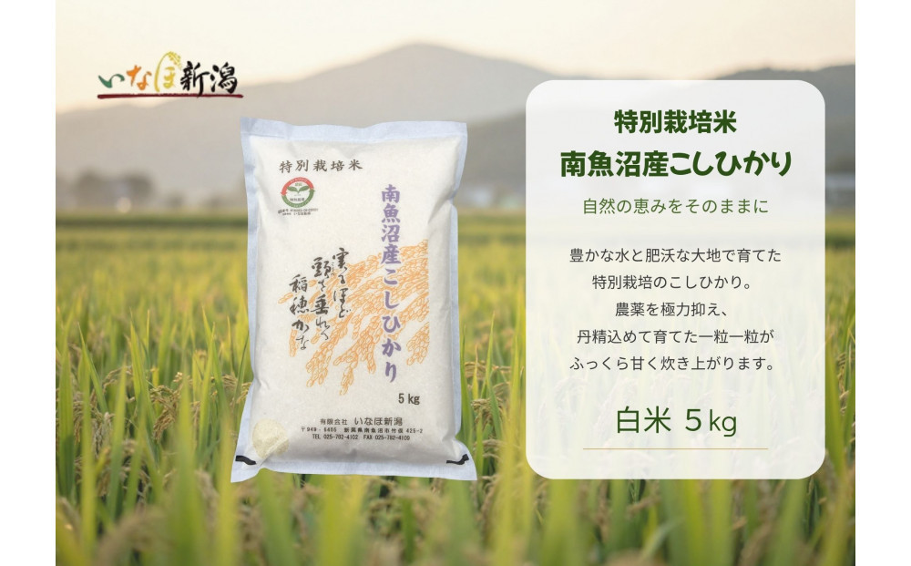【令和８年産新米予約】 南魚沼産コシヒカリ特別栽培米 白米 5kg【2026年9月下旬より1ヶ月以内に順次発送予定】