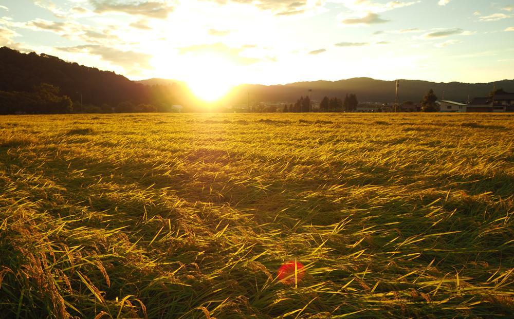 【JAみなみ魚沼定期便】南魚沼産こしひかり無洗米（15kg×全9回）研がずに炊ける 節水 手間いらず 精米 特A獲得日本一産地 高品質精米 雪国の恵み もっちり甘い 南魚沼産コシヒカリ