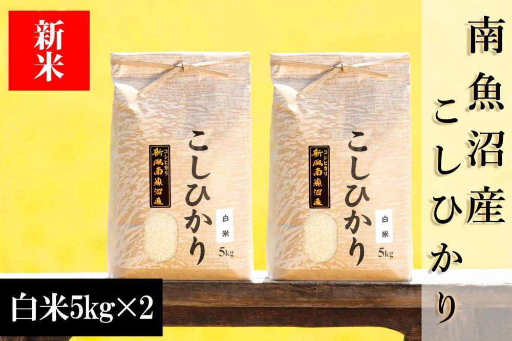 【予約】【令和6年産 新米】南魚沼産コシヒカリ（白米）【5kg×2袋】新潟県 特A地区の美味しいお米。