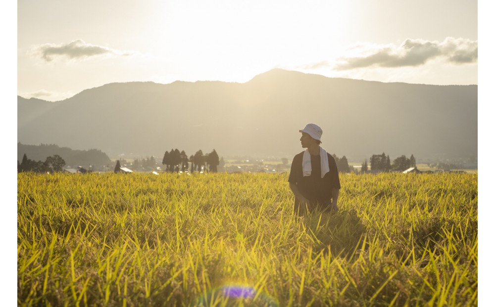 【全3回】【令和7年産】南魚沼塩沢産コシヒカリ＜yusui＞5kg×3ヶ月　白米　
