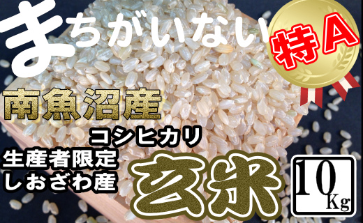 【令和7年産】玄米 生産者限定 南魚沼しおざわ産コシヒカリ10Kg