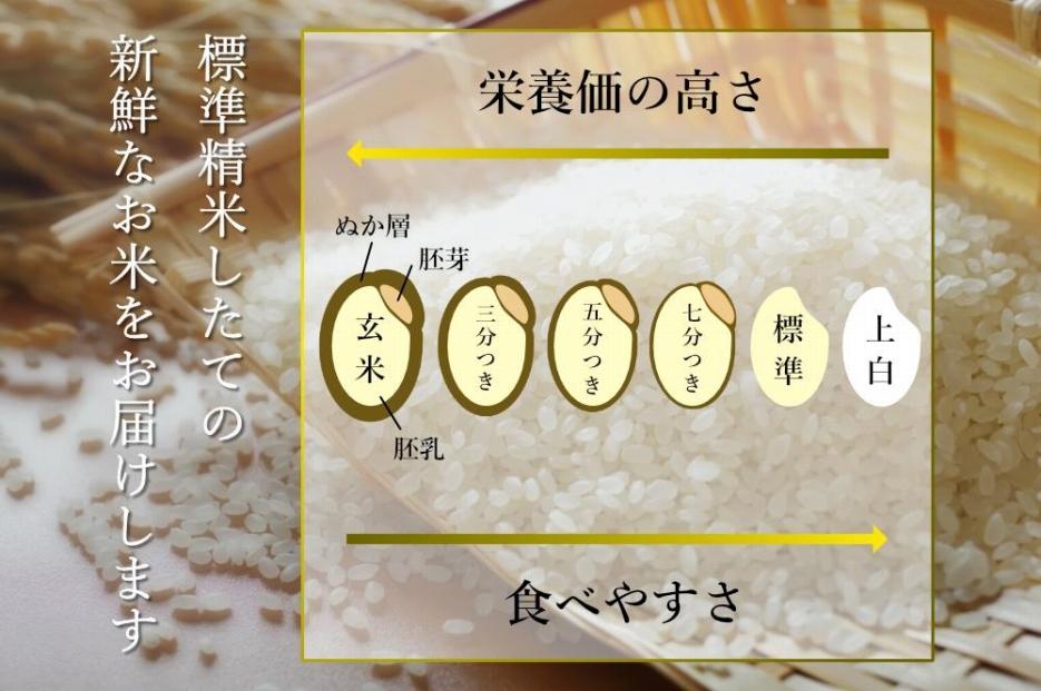 令和6年産新米予約【定期便】【OZAWA＆HIROTA】各2ｋｇ×全3回食べ比べセット　特A地区　　南魚沼産コシヒカリ