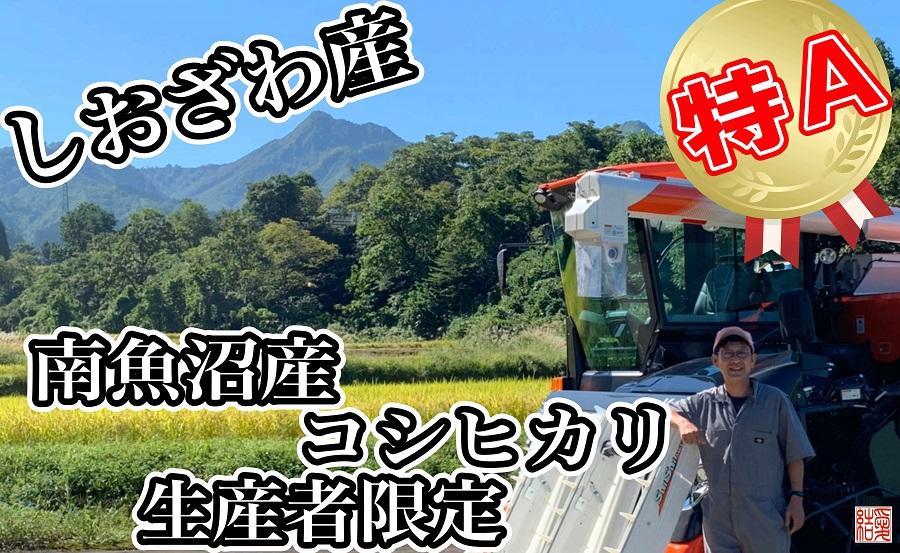 縲蝉サ、蜥7蟷エ逕」縲代仙ョ壽悄萓ソ縲醍私邀ウ 蜊鈴ュ壽イシ縺励♀縺悶o逕」繧ウ繧キ繝偵き繝ェ2Kgテ9繝カ譛医仙ョ壽悄萓ソ 驫俶氛邀ウ 繝悶Λ繝ウ繝臥アウ 邇邀ウ 縺薙@縺イ縺九j 繧ウ繧キ繝偵き繝ェ 鬲壽イシ逕」 譁ー貎溽アウ 逕」蝨ー逶エ騾 縺顔アウ 邀ウ 縺薙a 繧ウ繝。 縺秘」ッ 蠕。鬟ッ 縺斐ッ繧薙