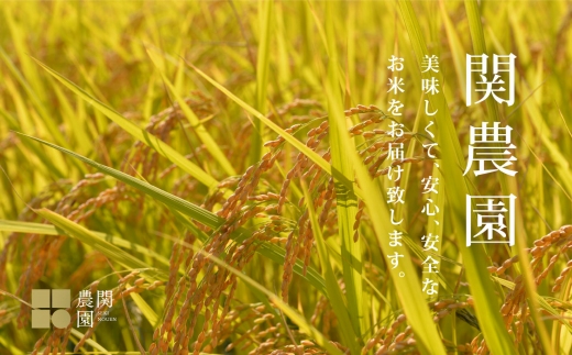 【定期便令和7年産】南魚沼コシヒカリ10kg×全12回　旧塩沢地区限定米【2025年9月中旬より順次発送予定】