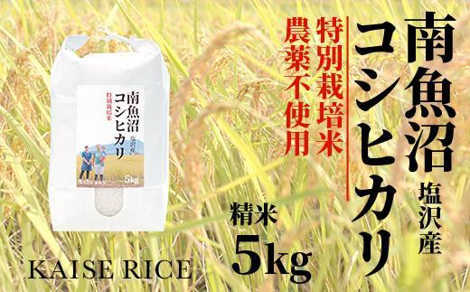 【令和7年産】【定期便】南魚沼産塩沢コシヒカリ【従来品種】（農薬不使用）精米５ｋｇ×全３回
