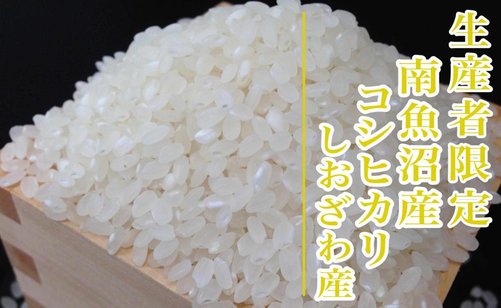 【新米予約・令和6年産】精米４Kg 生産者限定 南魚沼しおざわ産コシヒカリ