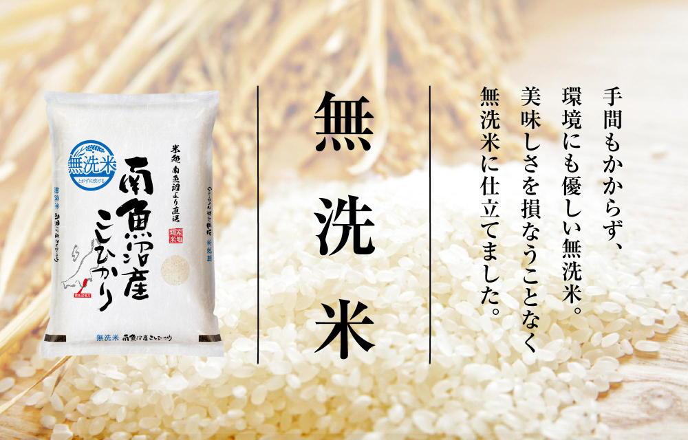 【2025年10月発送　先行受付】南魚沼産こしひかり無洗米2kg×全6回