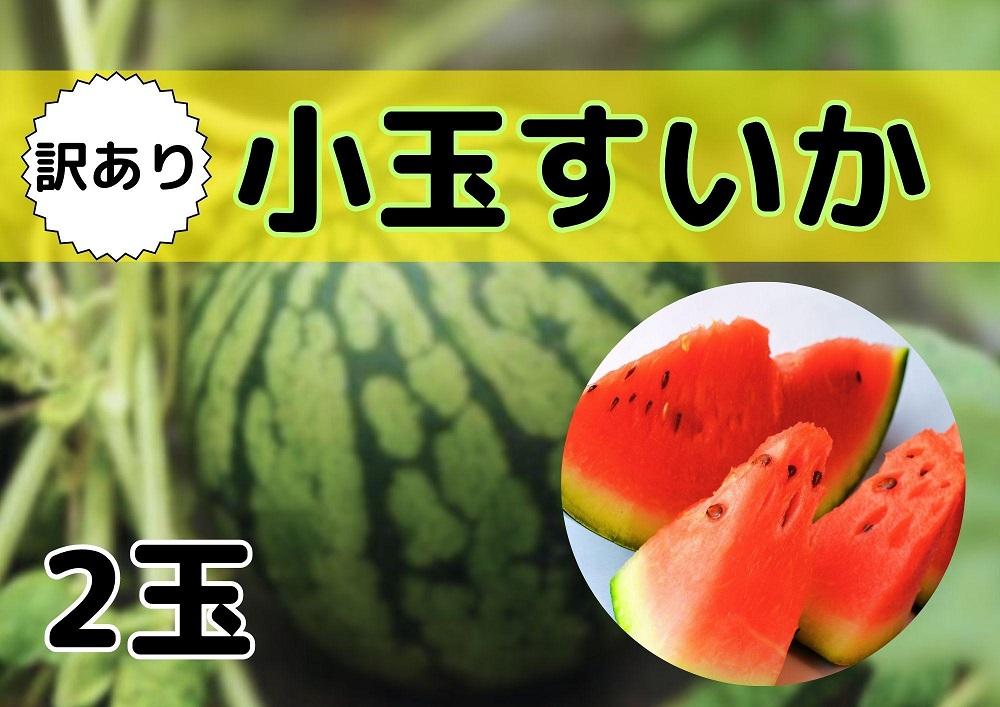 蜈郁。御コ育エ縲先眠貎溽恁蜊鈴ュ壽イシ逕」縲代舌o縺代≠繧翫大ォ濶イ蜴溘せ繧、繧ォ 蟆冗脂シ堤脂縲2026蟷エ7譛井クュ譌ャ逋コ騾√代舌♀螻翫¢譌・譎よ欠螳壻ク榊庄縲