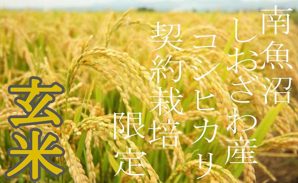 ã什å7幎ç£ããå®æäŸ¿8KgÃ12ã¶æãâçç±³â çç£è
éå® åéæ²Œããããç£ã³ã·ãã«ãªãå®æäŸ¿ éæç±³ ãã©ã³ãç±³ çç±³ ããã²ãã ã³ã·ãã«ãª éæ²Œç£ æ°æœç±³ ç£å°çŽé ãç±³ ç±³ ãã ã³ã¡ ã飯 埡飯 ãã¯ãã