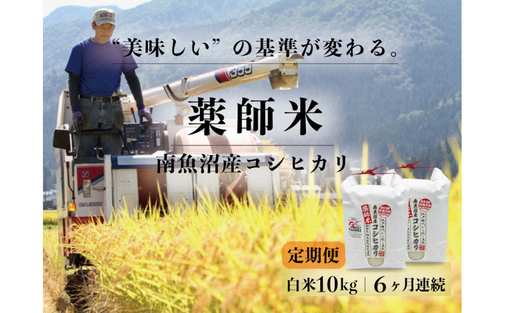 定期便全6回【南魚沼市食味コンテスト優秀賞】南魚沼産コシヒカリ 白米10kg(5kg×2) ｜薬師米 令和7年産