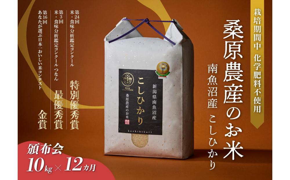 【頒布会】最優秀賞受賞【8割減農薬】最高峰南魚沼産こしひかり10kg×12ヶ月　桑原農産のお米(精米)