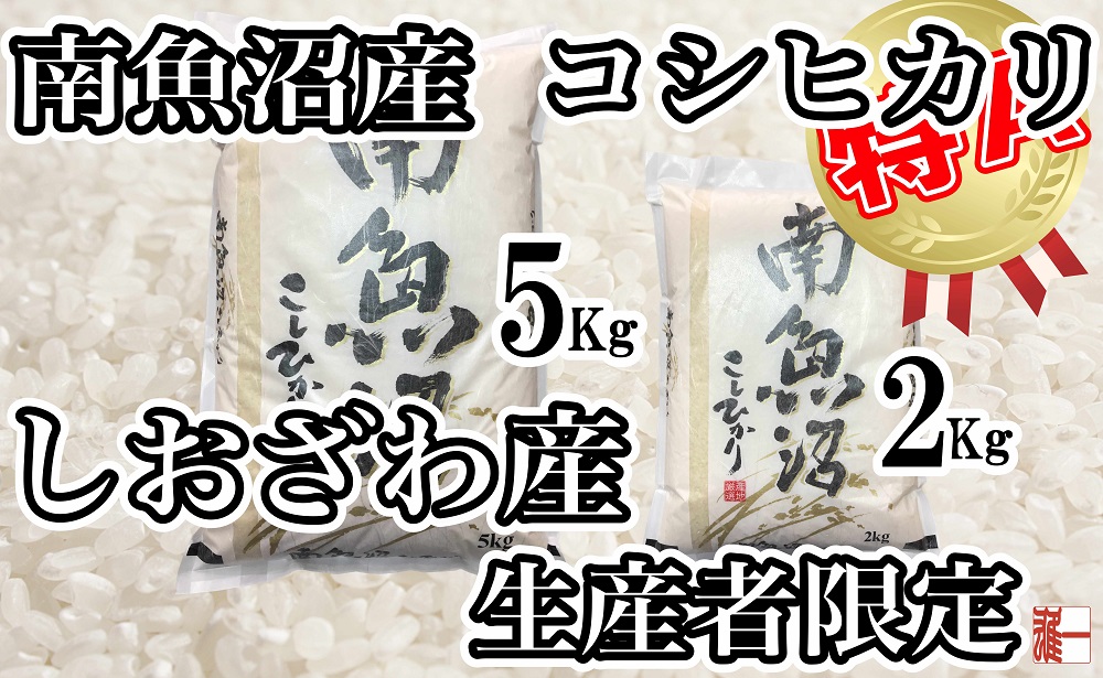 【定期便：４Kg×12ヶ月】生産者限定 契約栽培 南魚沼しおざわ産コシヒカリ