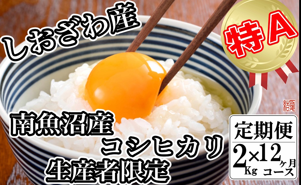 【令和7年産】【定期便／２kg×12ヶ月】生産者限定 契約栽培 南魚沼しおざわ産コシヒカリ