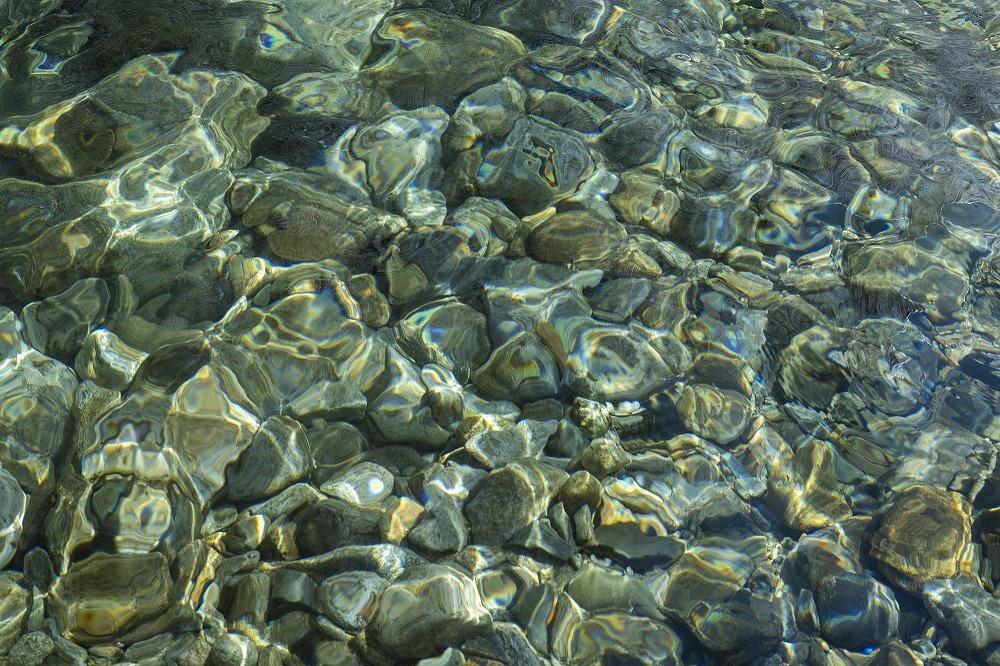 【定期便】「貝瀬農園米」農薬5割減栽培　南魚沼塩沢産コシヒカリ　無洗米5kg×全6回