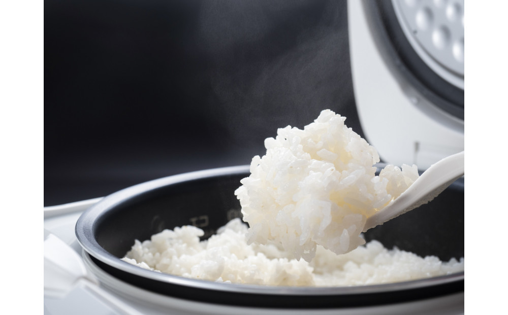 米粉の最高峰　品質・高性能米粉3種　お裾分けセット　うおぬま町・うおぬま小町 雪縁（ゆかり）・玄米が奏でるひとさじの魔法 各100g 10セット