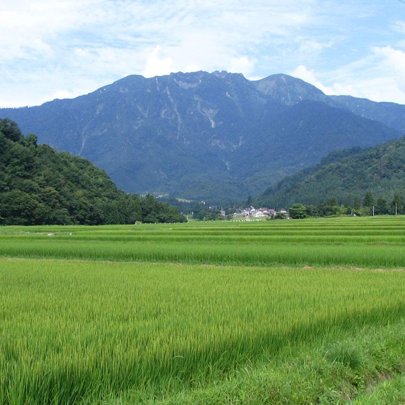 日本酒 八海山 大吟醸・純米大吟醸 浩和蔵仕込 720ml×2本セット