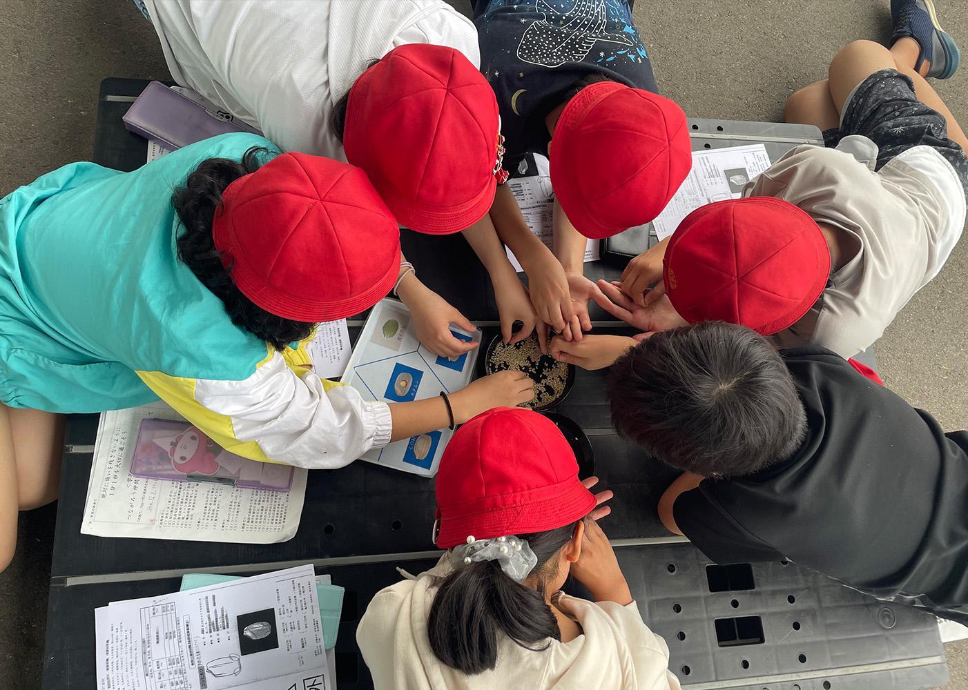 ã什åïŒå¹Žç£ããå®æäŸ¿5kgÃ6åãéªå®€è²¯èµç±³ åéæ²Œå¡©æ²¢ç£ã³ã·ãã«ãªãã2025幎10æäžæ¬ããé æ¬¡çºéäºå®ã