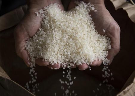 ãå®æäŸ¿ãã什å7幎ç£ãïŒkgÃ12ã¶æãå³éžãã ããåéæ²Œç£ã³ã·ãã«ãªãããŸãã蟲åã®ãç±³ã