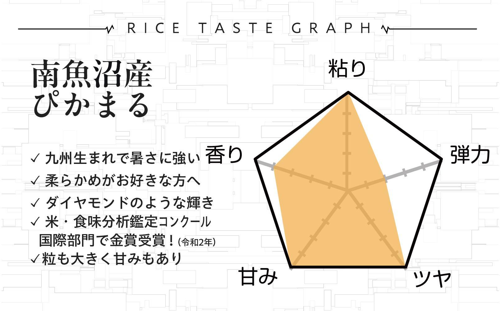 新米【令和6年産】精米5kg 南魚沼産ぴかまる・国際総合部門金賞受賞_AG