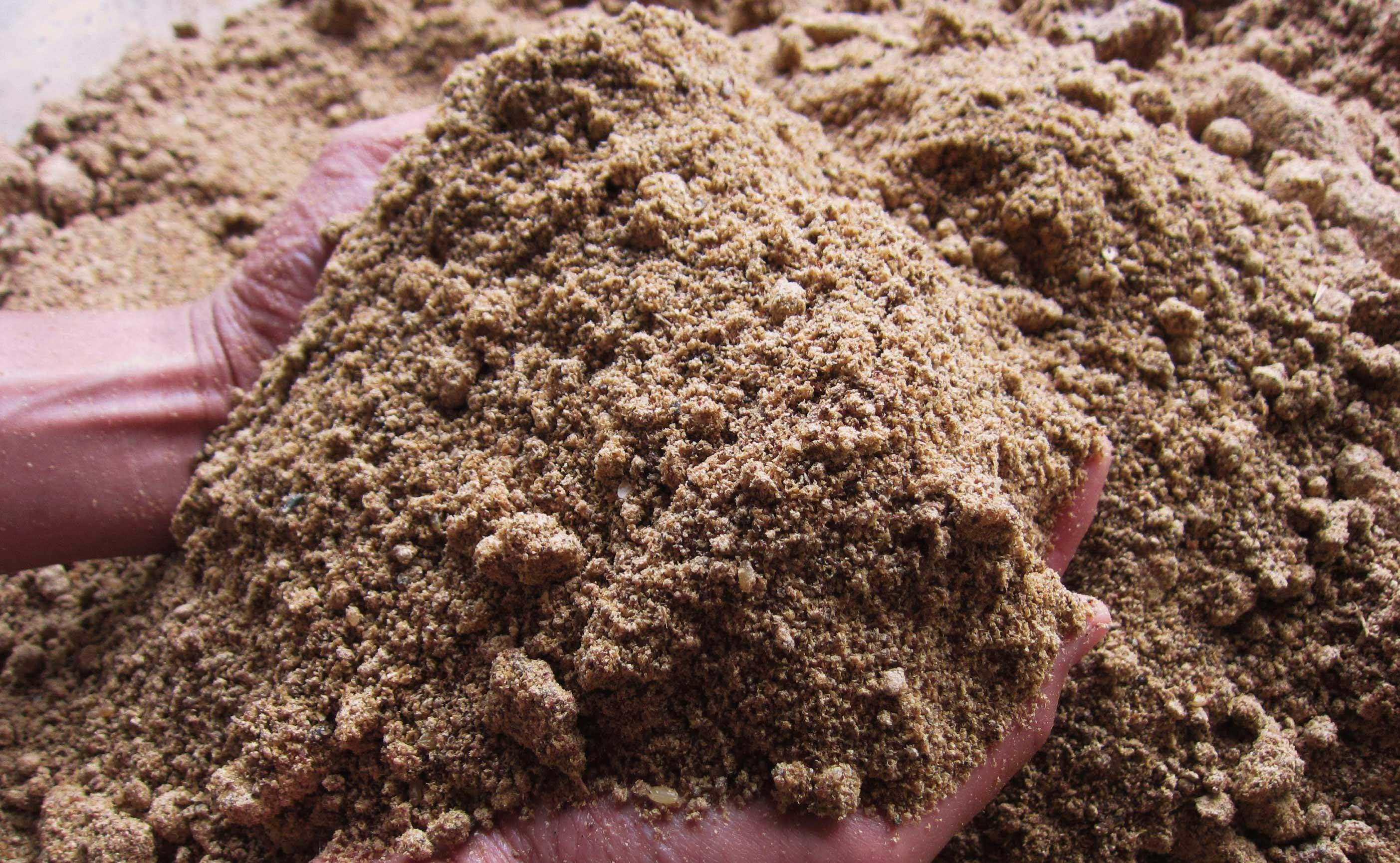 【令和7年産】関智晴がつくる南魚沼塩沢産コシヒカリ30kg(5kg×6個) 減農薬栽培米