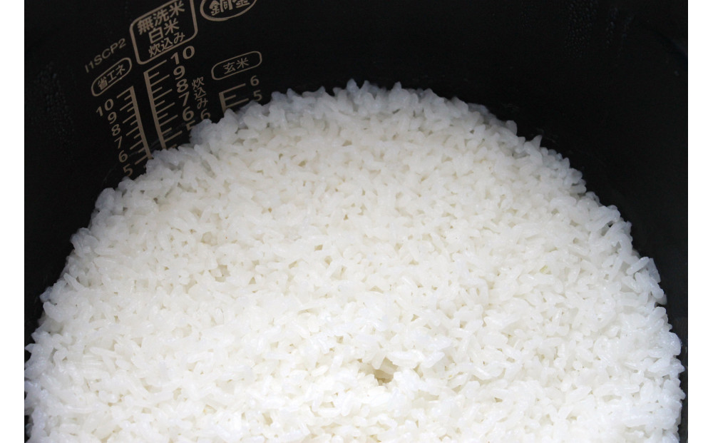 邇邀ウ蜈ィ邊堤イ峨′螂上〒繧九イ縺ィ縺輔§縺ョ鬲疲ウ 100gテ10