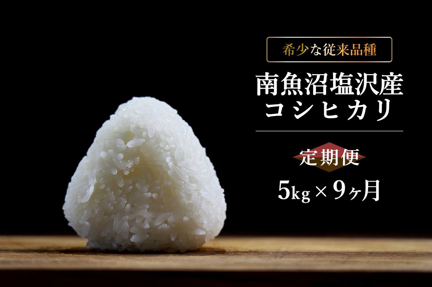 【6年産新米発送　精米5ｋｇ×9ヶ月　定期便】　令和6年10月中旬より順次発送　南魚沼塩沢産従来コシヒカリ