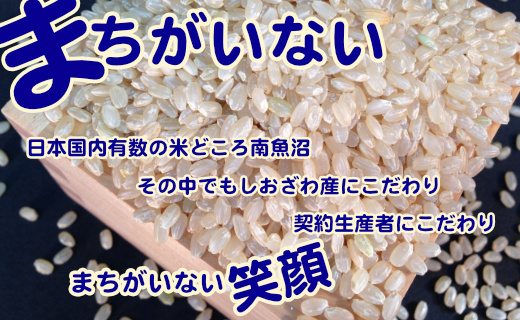 縲蝉サ、蜥7蟷エ逕」縲代仙ョ壽悄萓ソ縲醍私邀ウ 逕溽肇閠髯仙ョ 蜊鈴ュ壽イシ縺励♀縺悶o逕」繧ウ繧キ繝偵き繝ェ10Kgテ12繝カ譛医仙ョ壽悄萓ソ 驫俶氛邀ウ 繝悶Λ繝ウ繝臥アウ 邇邀ウ 縺薙@縺イ縺九j 繧ウ繧キ繝偵き繝ェ 鬲壽イシ逕」 譁ー貎溽アウ 逕」蝨ー逶エ騾 縺顔アウ 邀ウ 縺薙a 繧ウ繝。 縺秘」ッ 蠕。鬟ッ 縺斐ッ繧薙