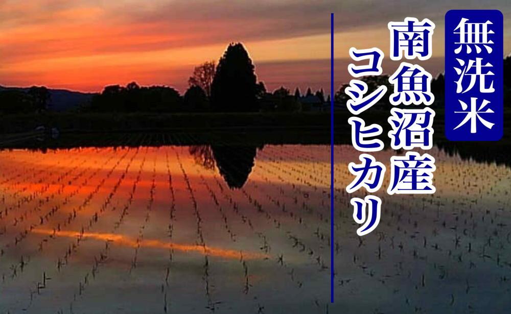 【新米予約・令和6年産】定期便９ヶ月：無洗米2kg南魚沼産コシヒカリ