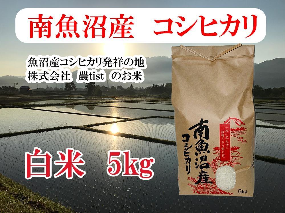 【令和7年産】【南魚沼産】コシヒカリ 白米5kg