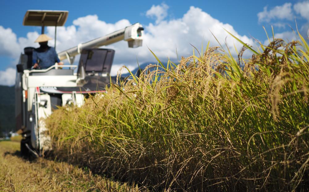 ãJAã¿ãªã¿éæ²Œå®æäŸ¿ãåéæ²Œç£ããã²ããç¡æŽç±³ïŒ2kgÃ5è¢Ãå
š12åïŒç ããã«çãã ç¯æ°Ž æéããã 粟米 ç¹Aç²åŸæ¥æ¬äžç£å° é«å質粟米 éªåœã®æµã¿ ãã£ã¡ãçã åéæ²Œç£ã³ã·ãã«ãª