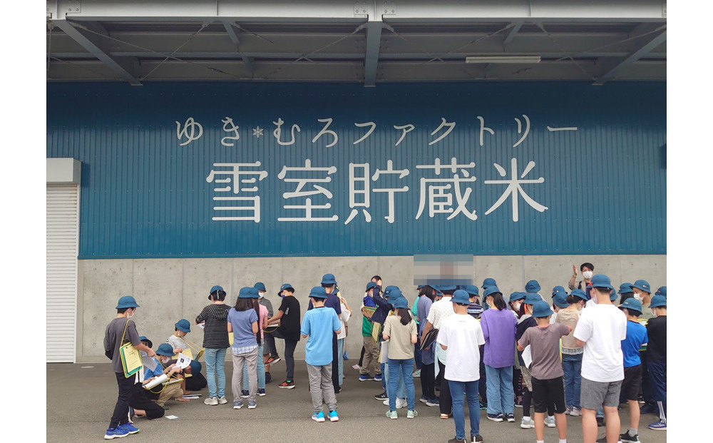 雪室貯蔵米 コシヒカリ、ミルキークィーン、新之助 食べ比べ