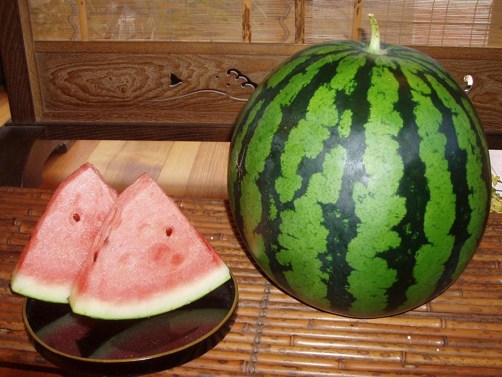 縲仙郁。御コ育エ縲代先眠貎溽恁 蜊鈴ュ壽イシ逕」縲大ォ濶イ蜴溘☆縺縺句、ァ邇会シ堤脂縲2026蟷エ7譛井ク区流逋コ騾√代舌♀螻翫¢譌・譎よ欠螳壻ク榊庄縲