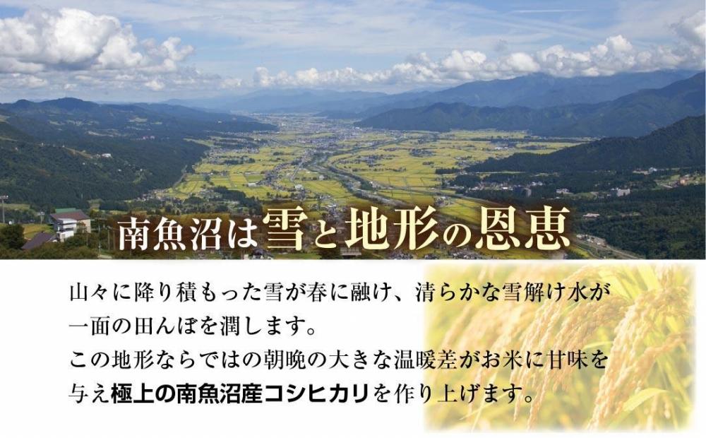 ｜定期便｜ 新潟県 南魚沼産 コシヒカリ 【従来品種】塩沢地区 お米 5kg × 12回 毎月発送 精米済み（お米の美味しい炊き方ガイド付き）