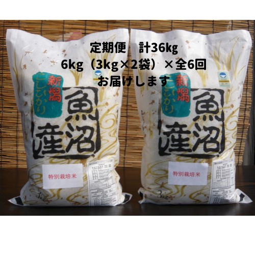 【令和６年産新米予約／令和6年9月下旬より順次発送】【6か月定期便】がんこおやじが作った南魚沼産コシヒカリ白米６kg（３kg×２袋）